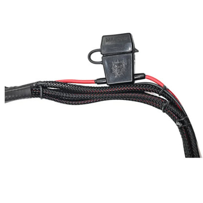 Maddog Wireharness