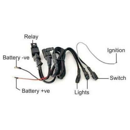 Maddog Wireharness